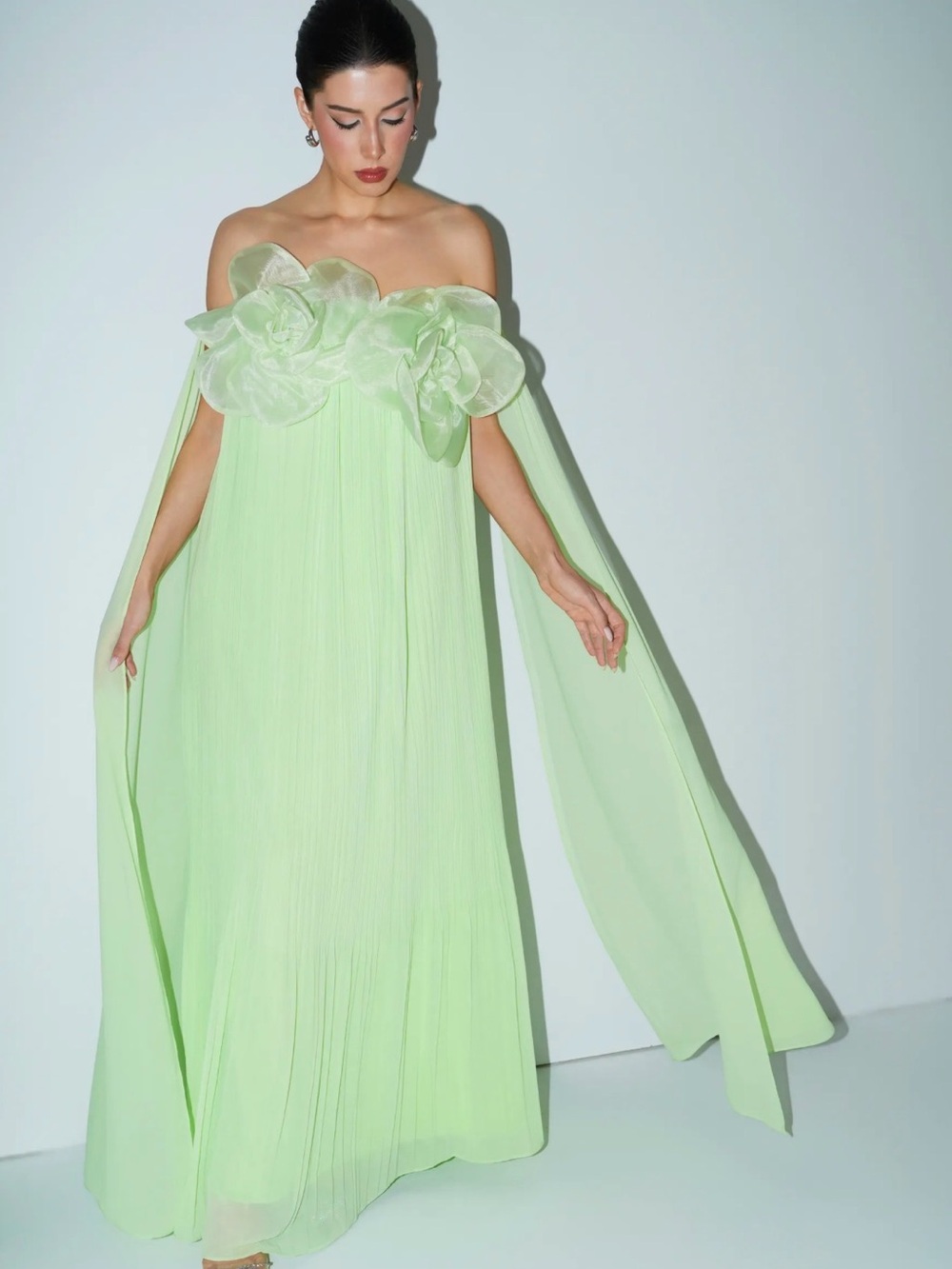 Strapless Floral Applique Maxi Dress in Light Green